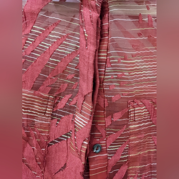 Sheer Button Down - Picture 3 of 5